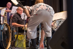 Bongos_Bigband_Konzert_170625_20170625_4900