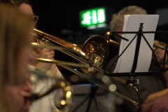 DSC_5477.NEF_