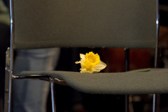 DSC_5678.NEF_
