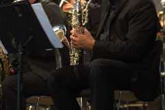 DSC_8683.NEF_